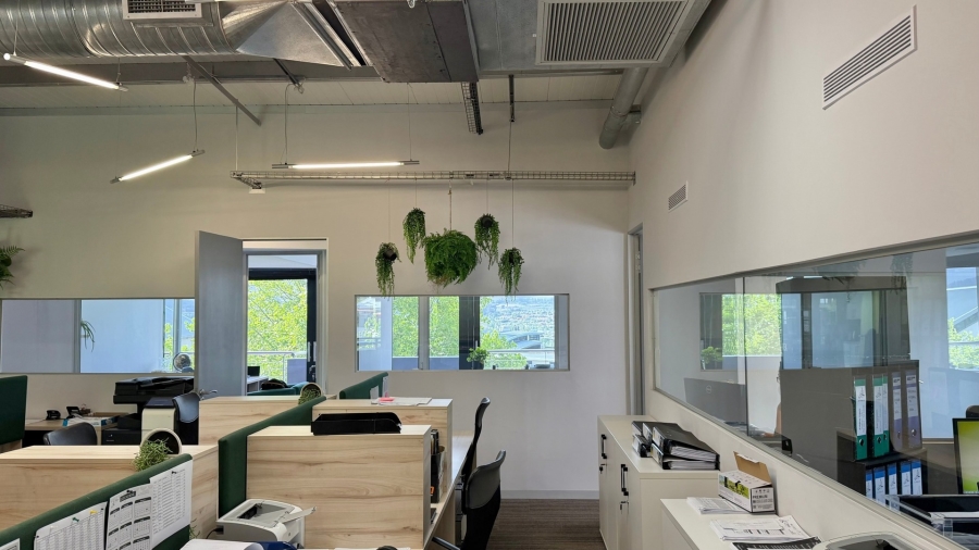 To Let Commercial Property for Rent in Techno Park Western Cape